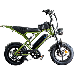 QMWHEEL V20 Mini - Leger Groen